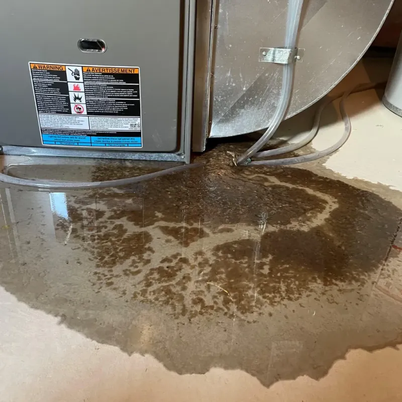 Appliance Leak Cleanup in Masonboro, NC